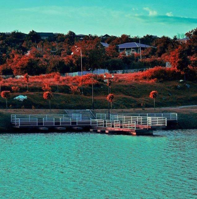 Гостевой дом Tsivi Tba Цхалтубо-4