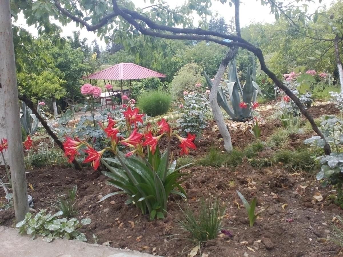 Гостевой дом Tsivi Tba Цхалтубо-5